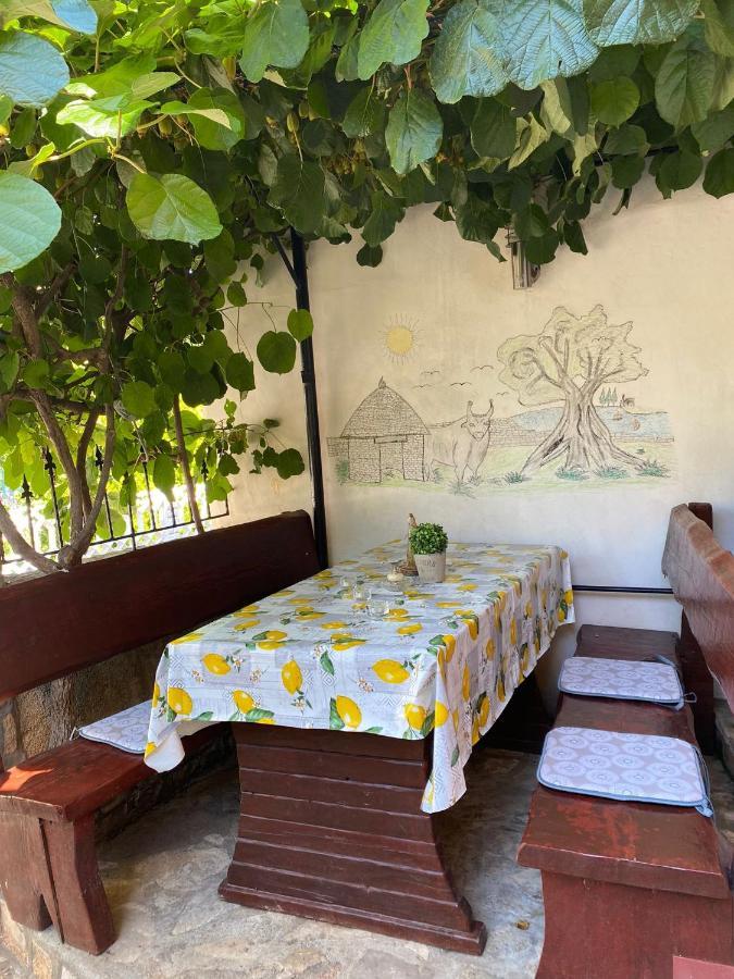 Studio Apartment Elsa Galižana Dış mekan fotoğraf